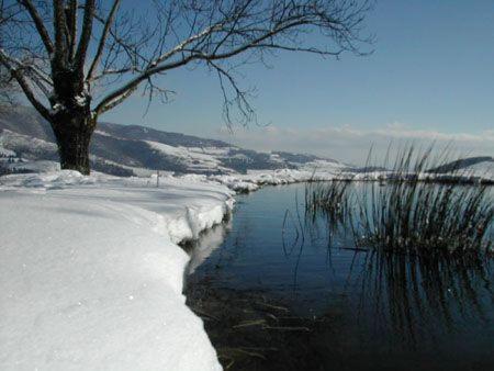 La Begude D'Amalthee Villa Vernay ภายนอก รูปภาพ